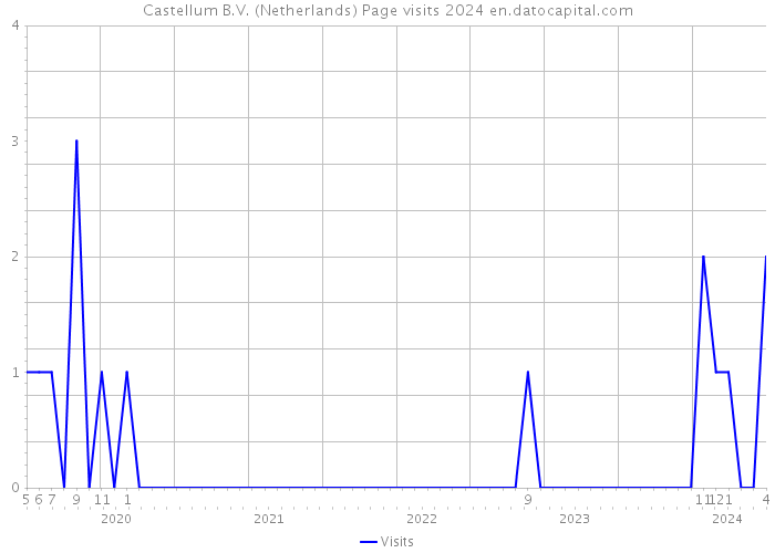 Castellum B.V. (Netherlands) Page visits 2024 