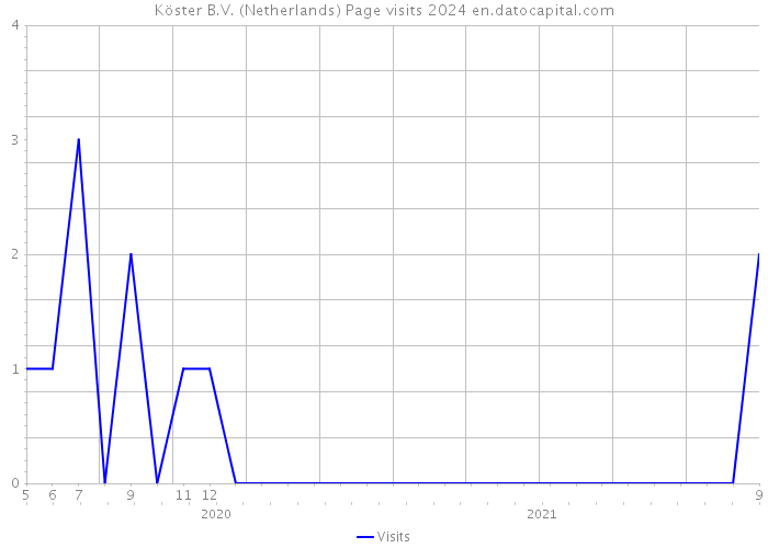 Köster B.V. (Netherlands) Page visits 2024 