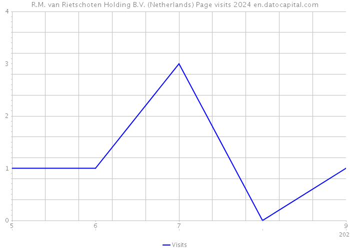 R.M. van Rietschoten Holding B.V. (Netherlands) Page visits 2024 