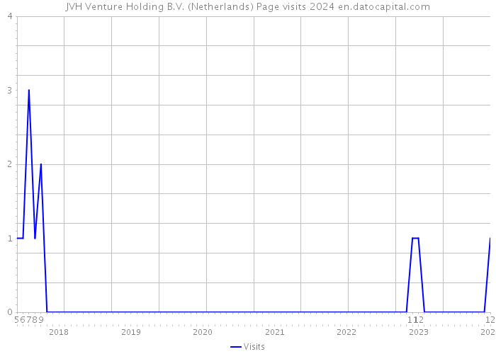 JVH Venture Holding B.V. (Netherlands) Page visits 2024 