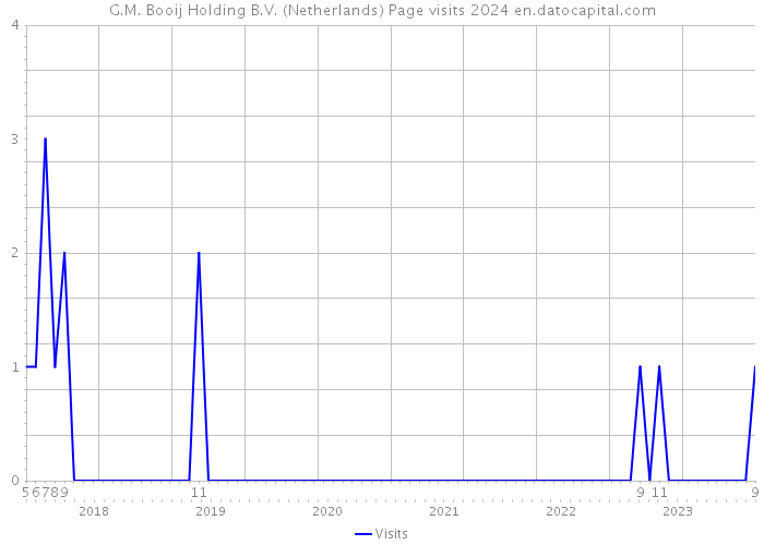 G.M. Booij Holding B.V. (Netherlands) Page visits 2024 