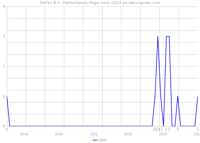 DeFex B.V. (Netherlands) Page visits 2024 