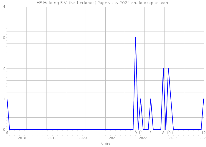 HF Holding B.V. (Netherlands) Page visits 2024 