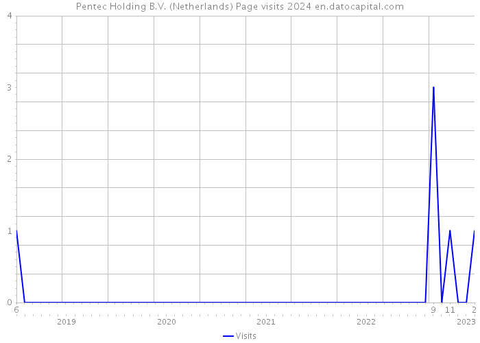 Pentec Holding B.V. (Netherlands) Page visits 2024 