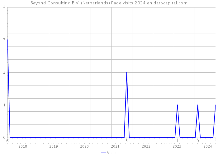 Beyond Consulting B.V. (Netherlands) Page visits 2024 