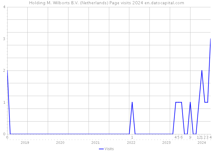 Holding M. Wilborts B.V. (Netherlands) Page visits 2024 
