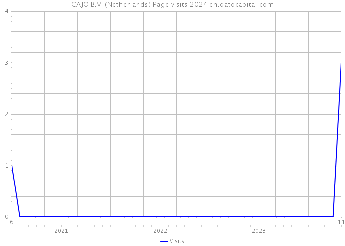 CAJO B.V. (Netherlands) Page visits 2024 
