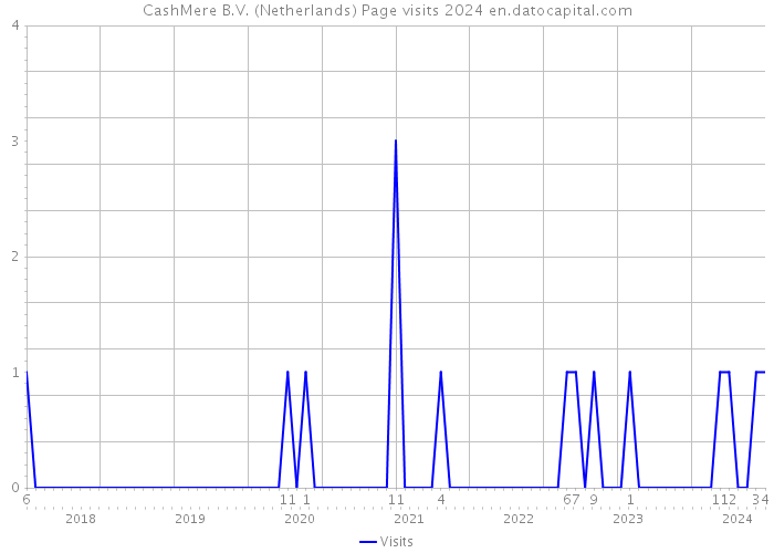 CashMere B.V. (Netherlands) Page visits 2024 