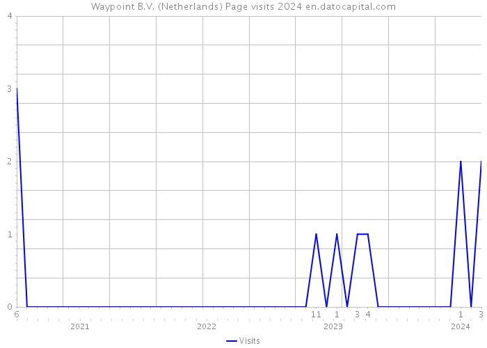 Waypoint B.V. (Netherlands) Page visits 2024 