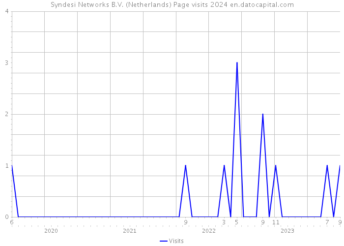Syndesi Networks B.V. (Netherlands) Page visits 2024 