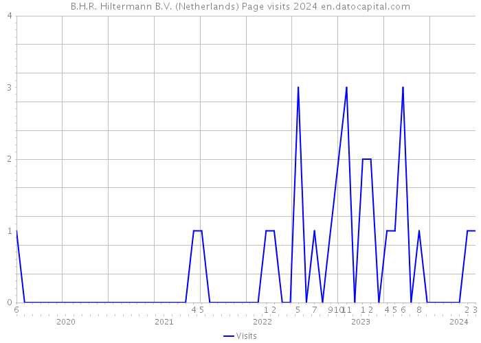 B.H.R. Hiltermann B.V. (Netherlands) Page visits 2024 