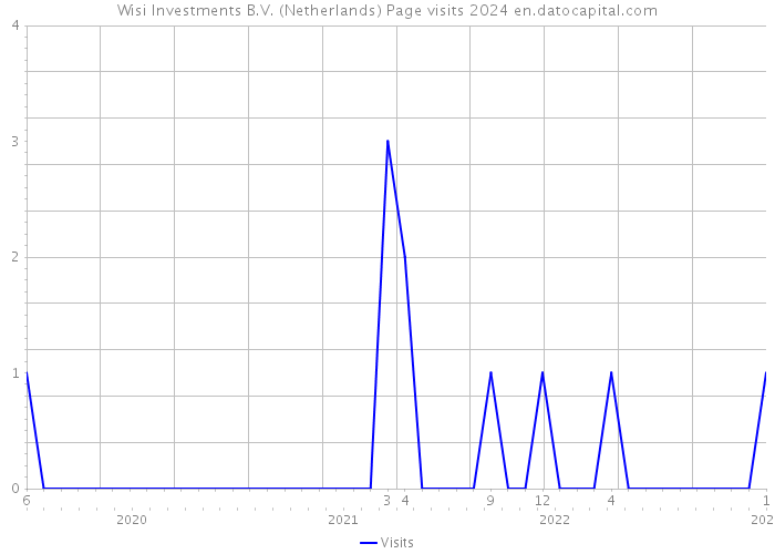Wisi Investments B.V. (Netherlands) Page visits 2024 