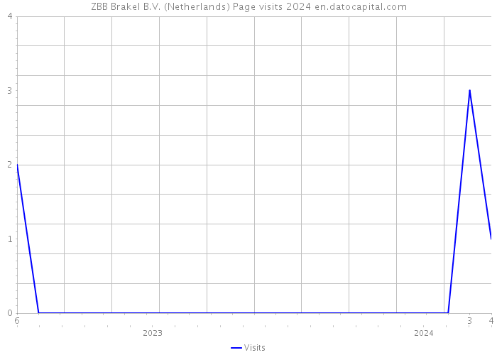 ZBB Brakel B.V. (Netherlands) Page visits 2024 