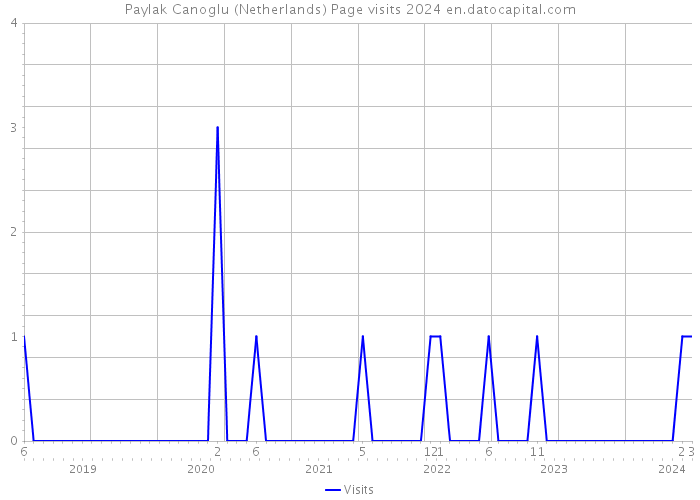 Paylak Canoglu (Netherlands) Page visits 2024 