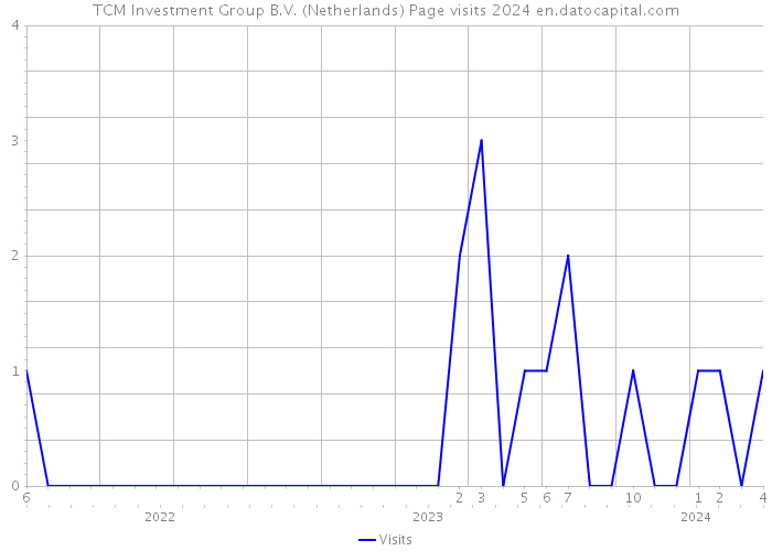 TCM Investment Group B.V. (Netherlands) Page visits 2024 