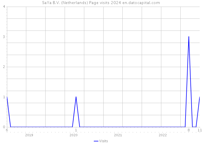 SaYa B.V. (Netherlands) Page visits 2024 