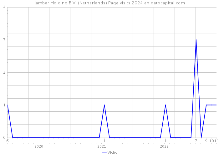 Jambar Holding B.V. (Netherlands) Page visits 2024 
