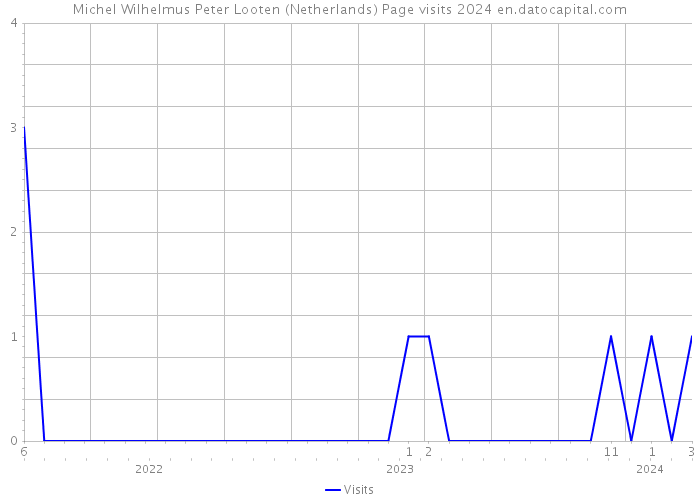 Michel Wilhelmus Peter Looten (Netherlands) Page visits 2024 