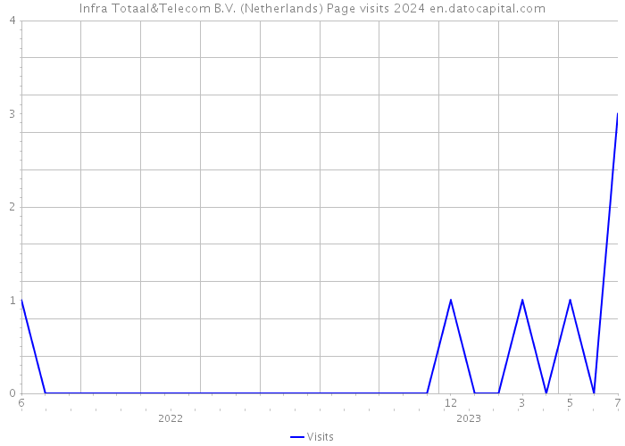 Infra Totaal&Telecom B.V. (Netherlands) Page visits 2024 