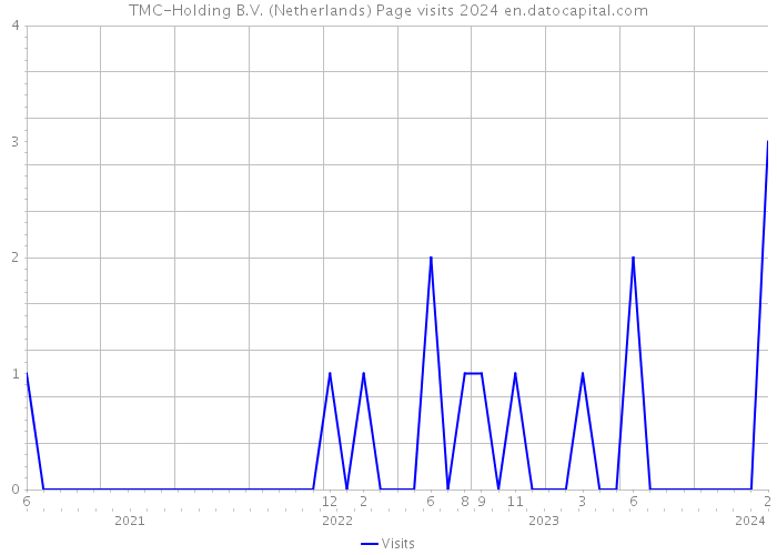 TMC-Holding B.V. (Netherlands) Page visits 2024 