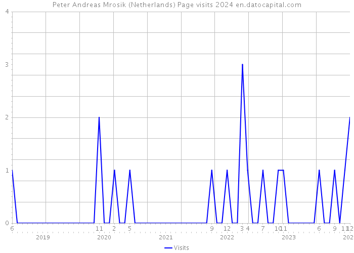 Peter Andreas Mrosik (Netherlands) Page visits 2024 