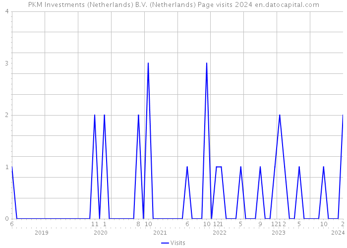 PKM Investments (Netherlands) B.V. (Netherlands) Page visits 2024 