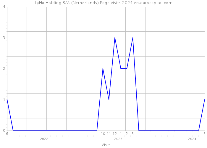 LyHa Holding B.V. (Netherlands) Page visits 2024 