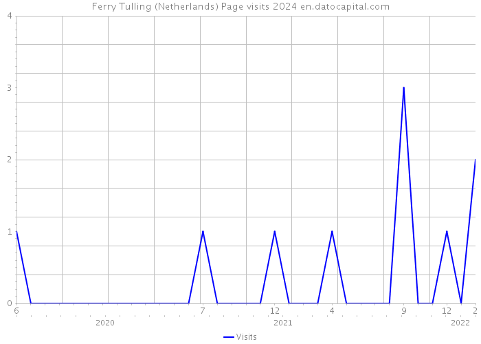 Ferry Tulling (Netherlands) Page visits 2024 