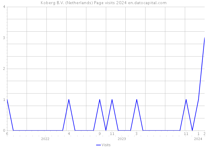 Koberg B.V. (Netherlands) Page visits 2024 
