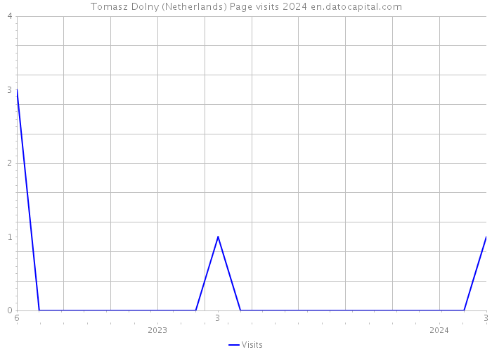 Tomasz Dolny (Netherlands) Page visits 2024 