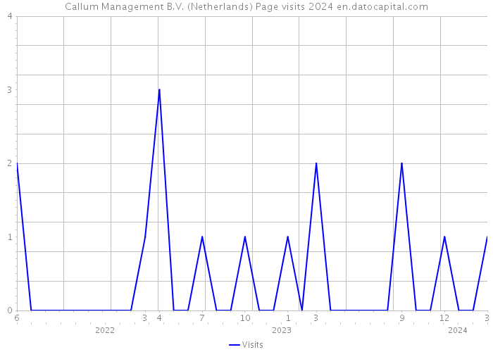 Callum Management B.V. (Netherlands) Page visits 2024 