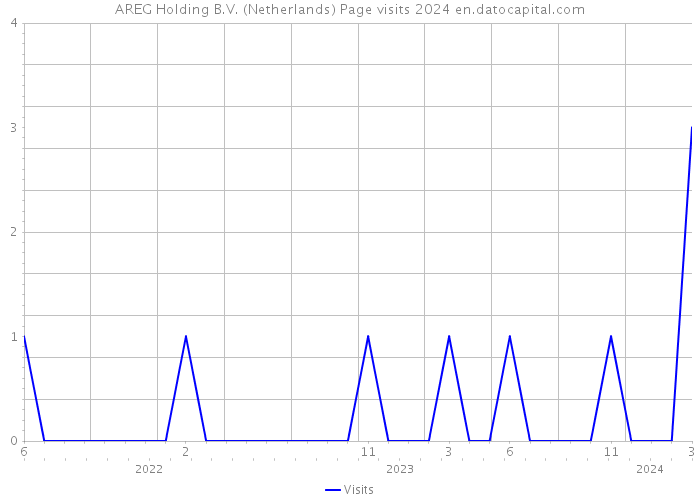 AREG Holding B.V. (Netherlands) Page visits 2024 