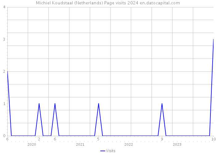 Michiel Koudstaal (Netherlands) Page visits 2024 