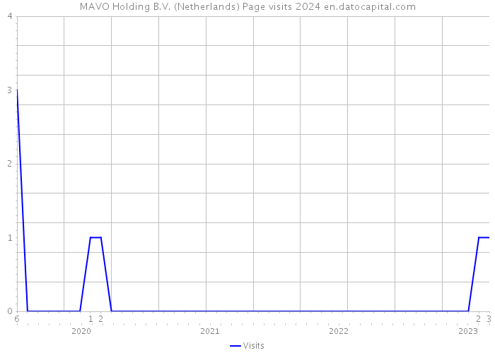MAVO Holding B.V. (Netherlands) Page visits 2024 