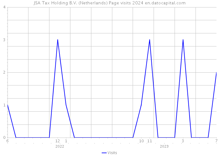 JSA Tax Holding B.V. (Netherlands) Page visits 2024 