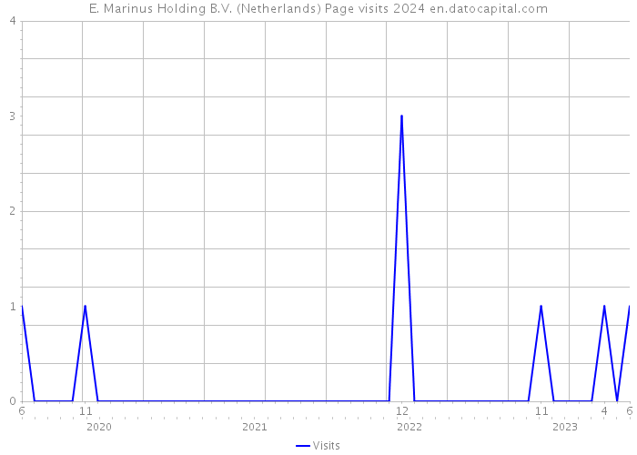 E. Marinus Holding B.V. (Netherlands) Page visits 2024 