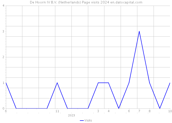 De Hoorn IV B.V. (Netherlands) Page visits 2024 