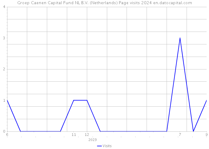 Groep Caenen Capital Fund NL B.V. (Netherlands) Page visits 2024 