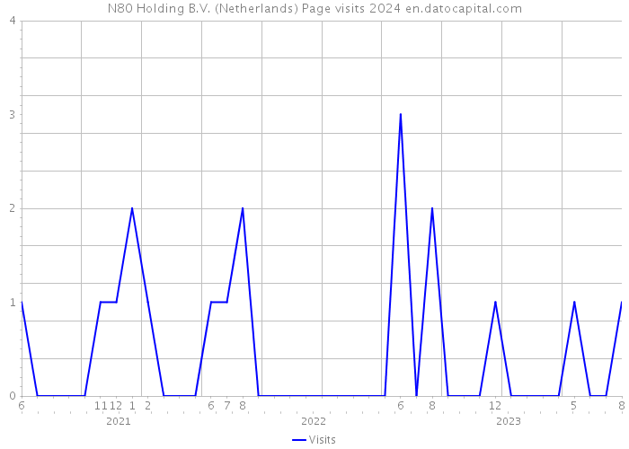 N80 Holding B.V. (Netherlands) Page visits 2024 