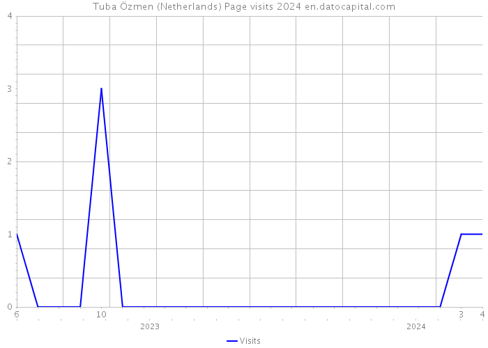 Tuba Özmen (Netherlands) Page visits 2024 