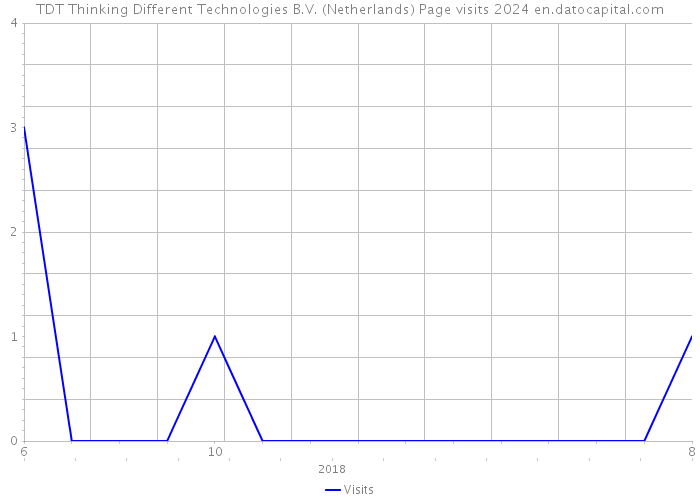 TDT Thinking Different Technologies B.V. (Netherlands) Page visits 2024 