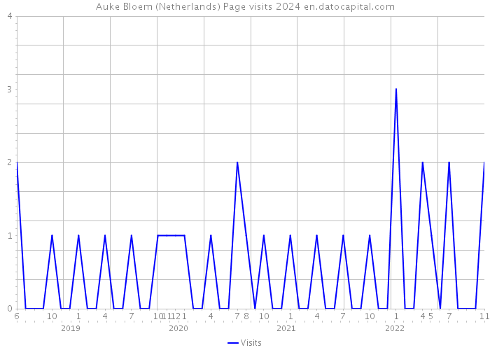 Auke Bloem (Netherlands) Page visits 2024 