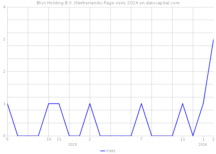 Blixt Holding B.V. (Netherlands) Page visits 2024 