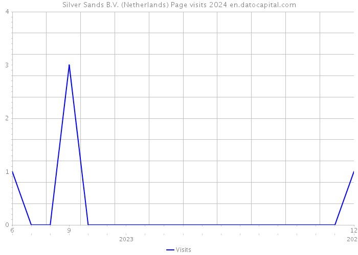 Silver Sands B.V. (Netherlands) Page visits 2024 