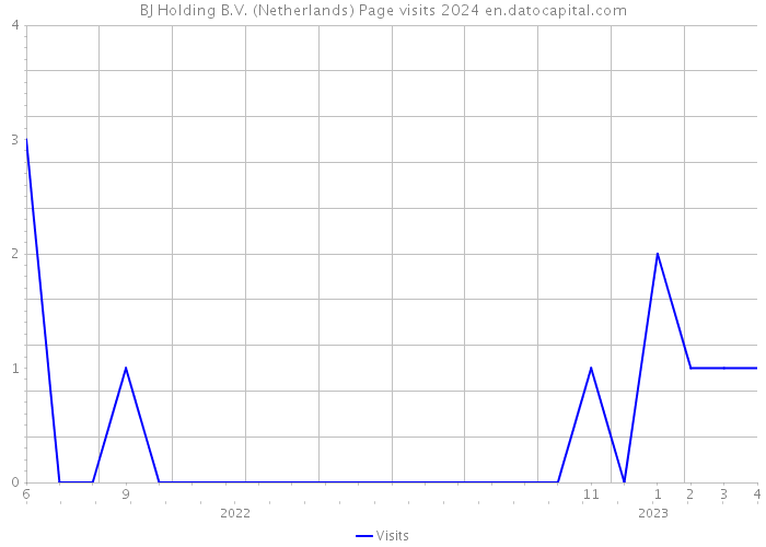 BJ Holding B.V. (Netherlands) Page visits 2024 