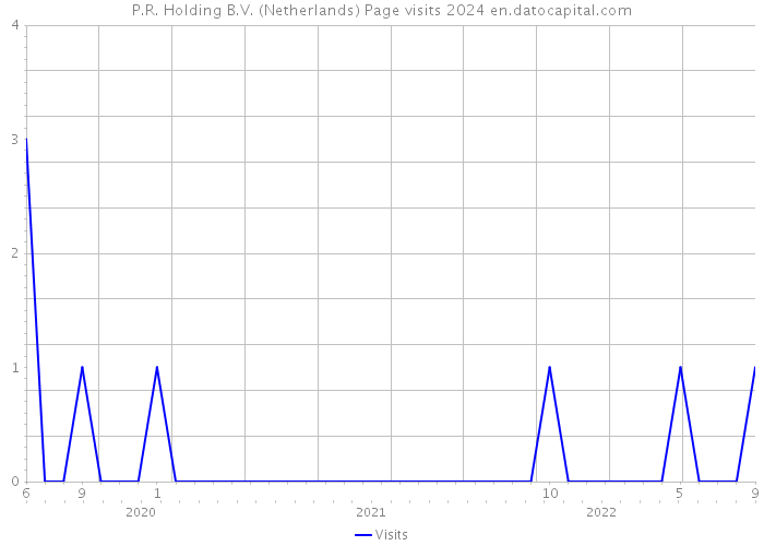 P.R. Holding B.V. (Netherlands) Page visits 2024 