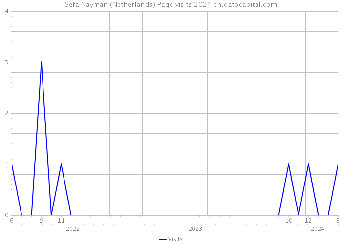 Sefa Nayman (Netherlands) Page visits 2024 