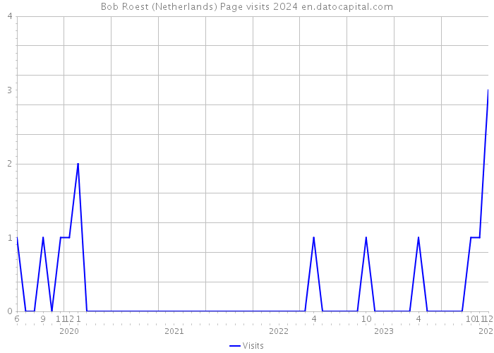 Bob Roest (Netherlands) Page visits 2024 