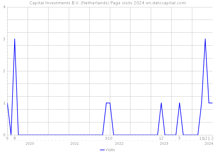 Capital Investments B.V. (Netherlands) Page visits 2024 