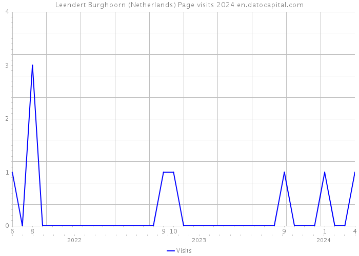 Leendert Burghoorn (Netherlands) Page visits 2024 